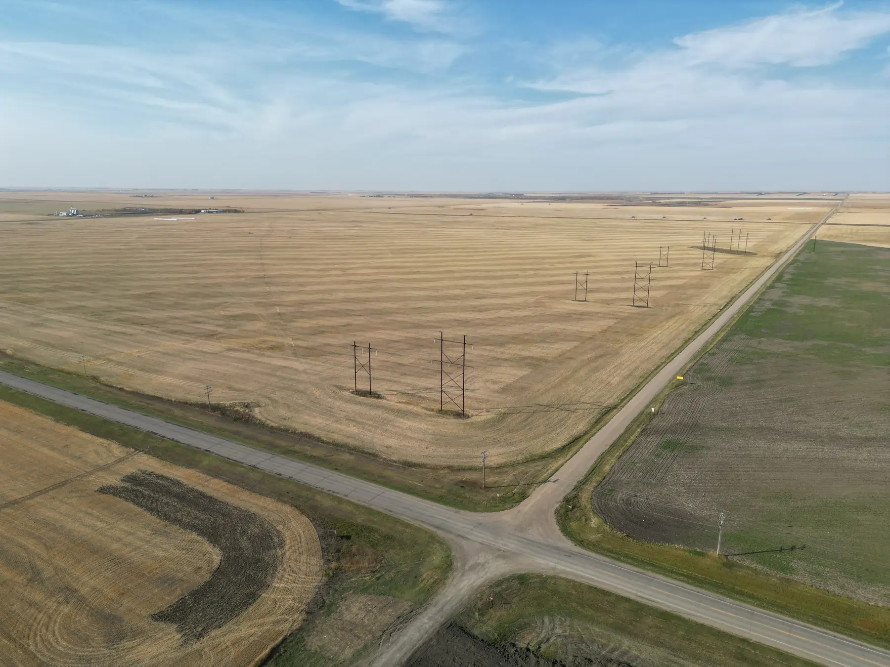 Red Leaf Pulp vs. Kraft Wood Pulp